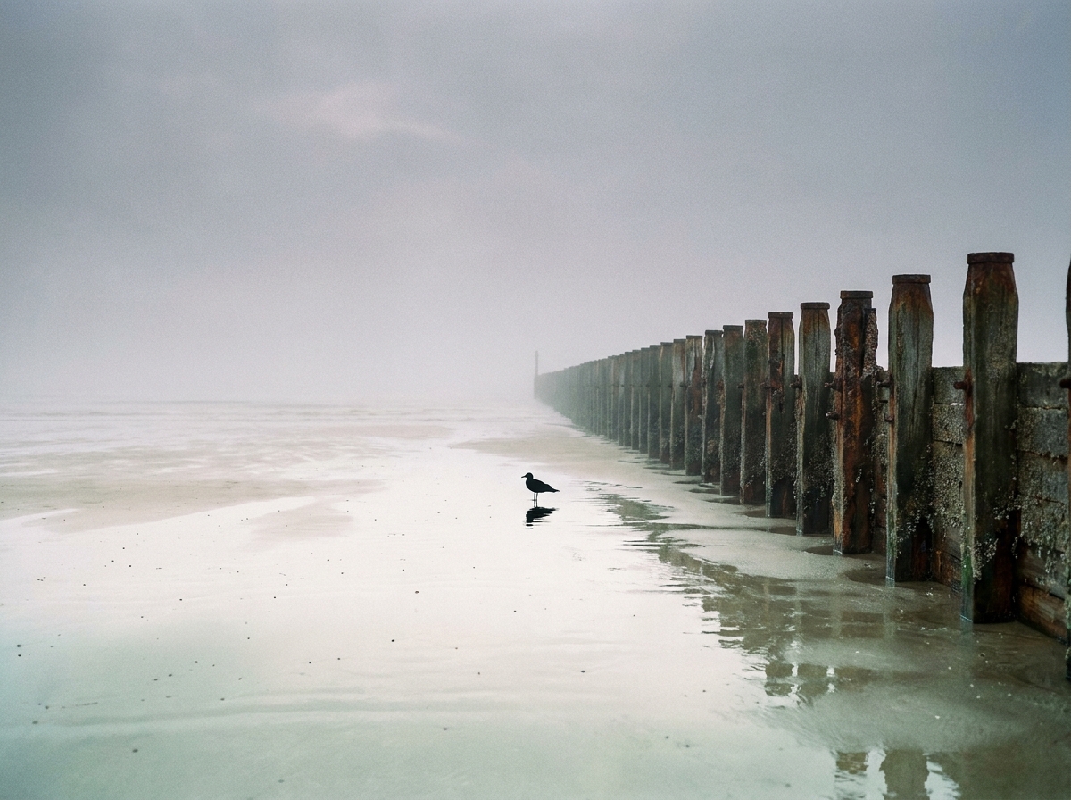 Holderness coast, East Yorkshire, May 2026